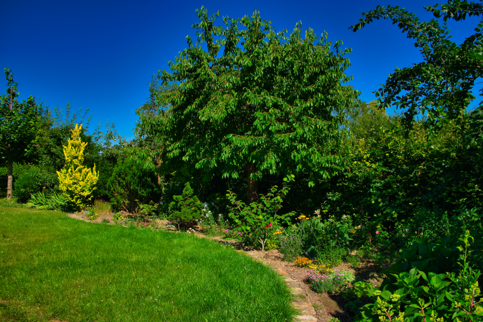 Garten mit Wasserlauf